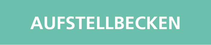 Wellness World Wissmann Aufstellbecken